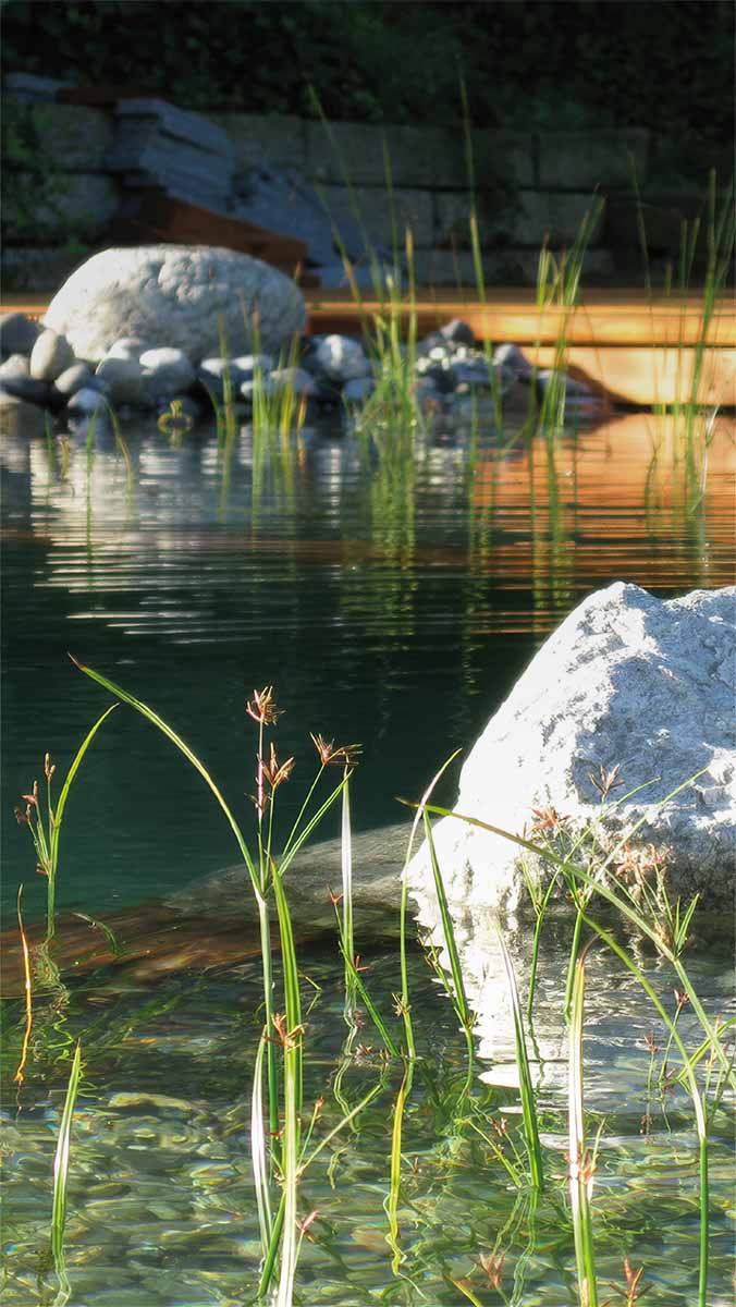 Naturpool