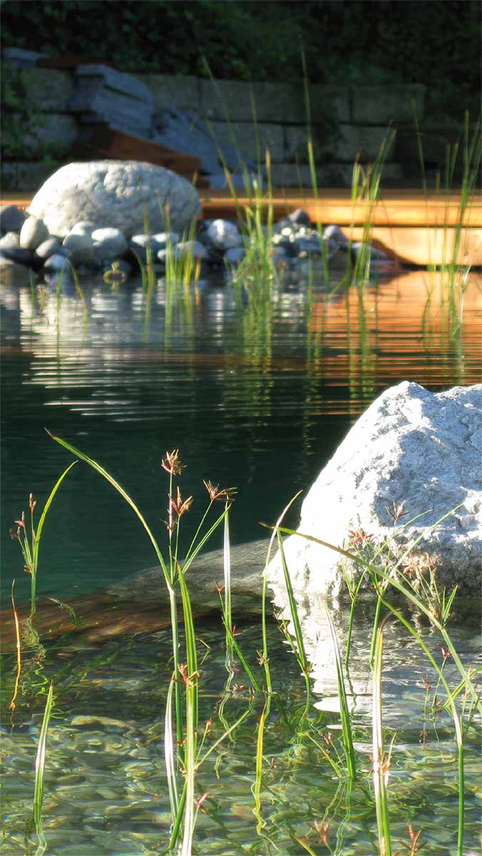 Naturpool